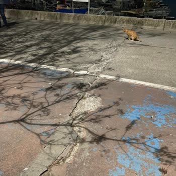Maltepe Belediyesi Sahilde Bisiklet Şeridinde Yol Düzenlenmesi Yapılmıyor