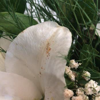 Kusurlu Ürün Çiçek Sepeti