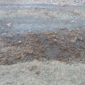 Balıkesir Büyükşehir Belediyesi Su Arızası İçin Çözüm Nerede