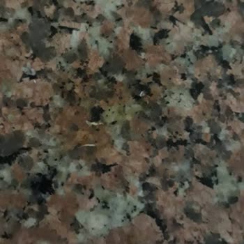 Mersin Tuğbam Temizlik Evin Düzgün Temizlenmemesi