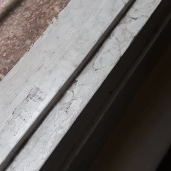 Mersin Tuğbam Temizlik Evin Düzgün Temizlenmemesi