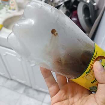 İnsan Sağlığının En Ucuz Olduğu Yer Tarım Kooperatif Fiyaskosu