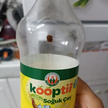 İnsan Sağlığının En Ucuz Olduğu Yer Tarım Kooperatif Fiyaskosu