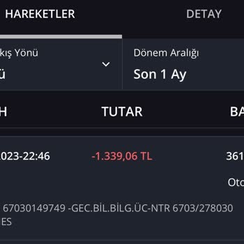 Bankacılık Düzenleme ve Denetleme Kurumu İş Bankası Geç. Bil. Bilg. Üç. Ntr İade