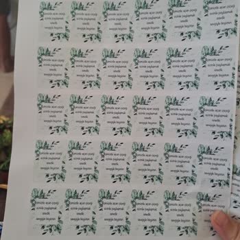 Sukulentworldd (İnstagram) Sukulent Dağılmış Şekilde Geldi