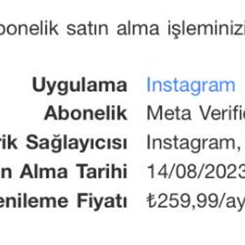 Instagram Meta Verified Mavi Tık