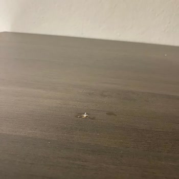 Doğtaş Yatak Odası Takımı 2,5 Aydır Tam Teslim Edilemeyen