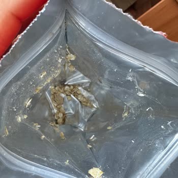 Funny Gıda Müsli Den Kelebek Çıktı!