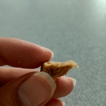 Fellas Foods Ürünümden Kıl Çıktı