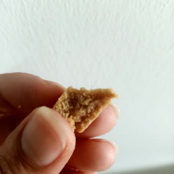 Fellas Foods Ürünümden Kıl Çıktı