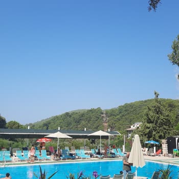 Jolly Tur Müşteri Memnuniyetsizliği, Kimsenin Çözüm Bulamaması