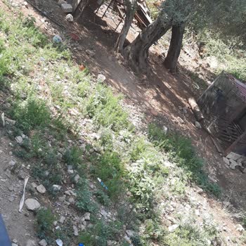 Jolly Tur Müşteri Memnuniyetsizliği, Kimsenin Çözüm Bulamaması