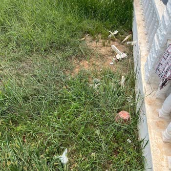 Mersin Dağ Evleri Memnuniyetsizliği