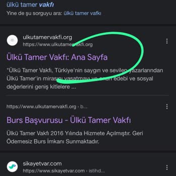 Ülkü Tamer Vakfı Instagram Üzerinden Burs Vaadiyle Yanıltıldım