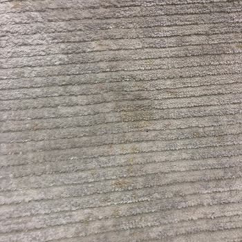 Dinçerler Halı Yıkama (İstanbul) Dinçerler Halı Yıkama Şikayet