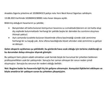 Anadolu Sigorta (sorun Terleme Kaynaklı)