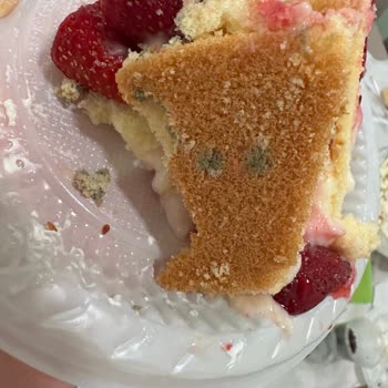 Yılmaz Pastanesi Pastaları Küflü Çıktı