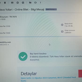 THY Firmasının Sorumsuzluğu Bilet İptali