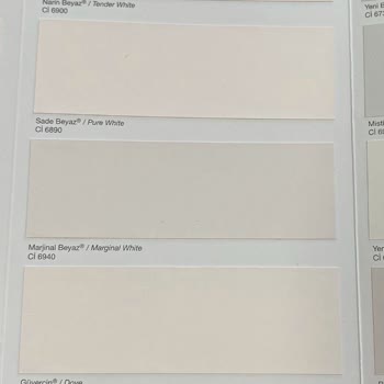 Polisan'ın Sattığı Boya İle Çıkan Boya Farkı