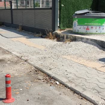 Selçuklu Belediyesi (Konya) Çöp Kovası Temizliği İle İlgili Şikayet