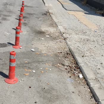 Selçuklu Belediyesi (Konya) Çöp Kovası Temizliği İle İlgili Şikayet
