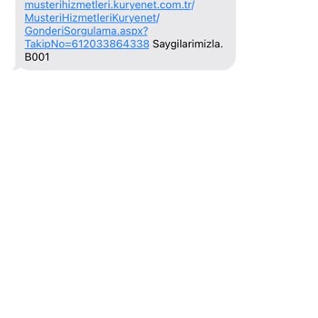 Kuryenet Ürünü Teslim Etmiyor. Kendilerine Mail Attım Telefon Da Açtım