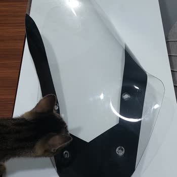 Arora Max T İle İlgili Arora Motor Genel Merkez İlgisizliği