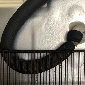 Arçelik Derin Dondurucu Fabrika Montaj Hatası