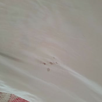Zara Beyaz Tshirt Yıkadıktan Sonra Söküldü