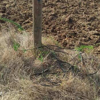 Türk Telekom İnternet Hizmeti Alamıyorum.