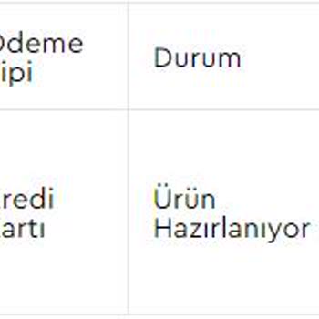 Lego.storeturkey.com.tr Siparişim Elime Ulaşmadı Ve Nerede Olduğu Belli Değil