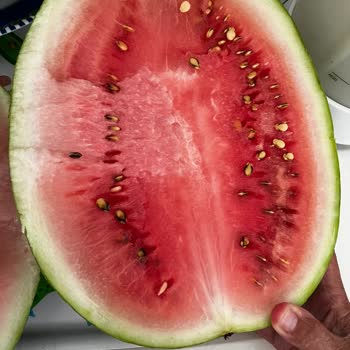 Migros Aldığımız Karpuzun Kabak Çıkması