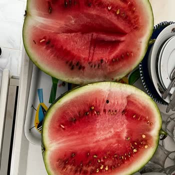 Migros Aldığımız Karpuzun Kabak Çıkması