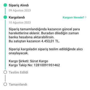 Sürat Kargo Kayıp Urunu Ortada Yok