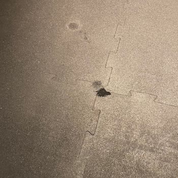 John Reed Fitness İklimlendirmenin Kısıtlı Şekilde Kullanılması