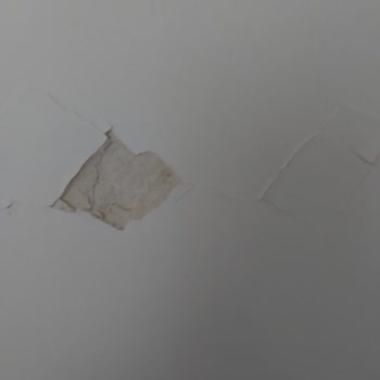 DASK (doğal Afet Sigortaları Kurumu) Hasarlı Evime Bakmıyor