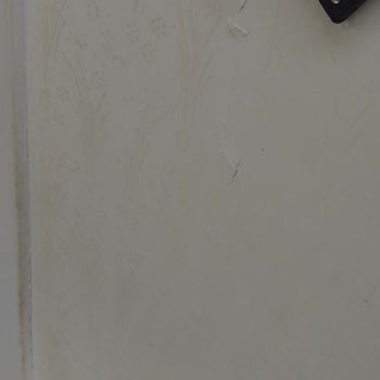 DASK (doğal Afet Sigortaları Kurumu) Hasarlı Evime Bakmıyor