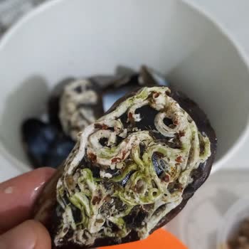 Midyeci Ahmet'ten Aldığımız Midyelerin Temizlenmemiş Olması!