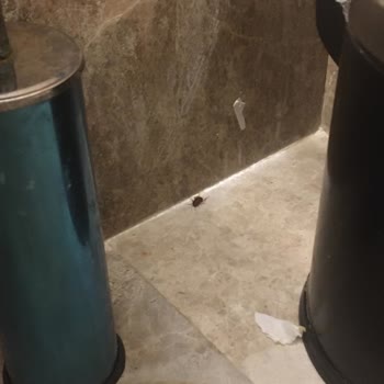 Gezinomi Mio Mare Resort Bodrum İsimli Otel Müşterilerini Mağdur Ediyor