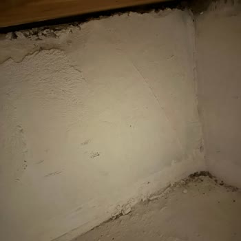 Bilge Otel Alaçatı Tahta Kurusu Isırığı