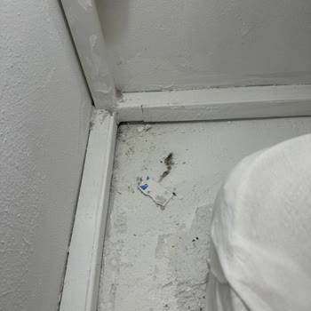 Bilge Otel Alaçatı Tahta Kurusu Isırığı