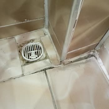 Temizlik59 (instagram.com: Corlutemizlik59) Parayı Alıp Kaçtı