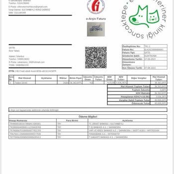 Pegasus Sağlık Raporum Olmasına Rağmen Biletimi İade Etmiyor