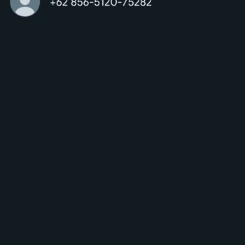 WhatsApp +62 Ve +258 Gelen Mesaj