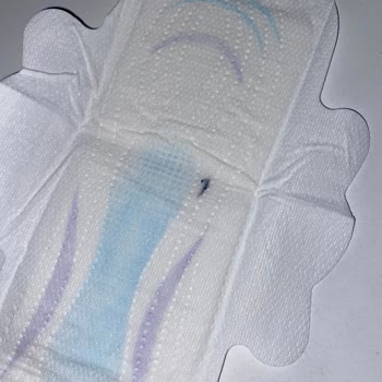 Molped Gece Pedinin İçinden Koyu Renkli Ve Sert Bir Cisim Çıktı