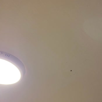 Maya World Hotels Maya World Didyma Otelin Kalitesizliği