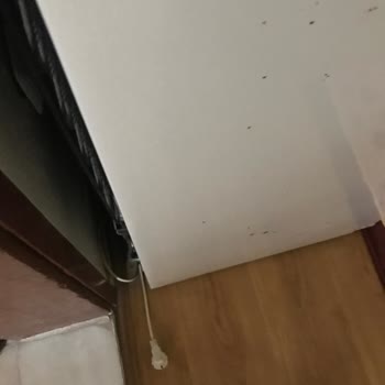 Başkent Elektrik Dağıtım Sürekli Elektrik Kesiliyor, Faz Düşüşleri Var Hep Ve Eşyalar Bozuldu