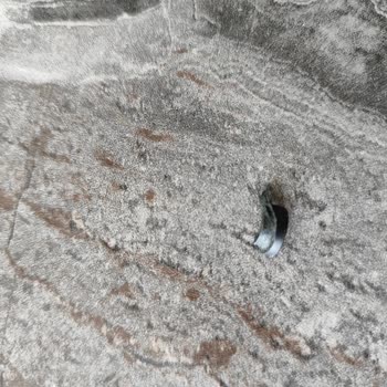 Hiking Airfryer Den Şikayetçiyim