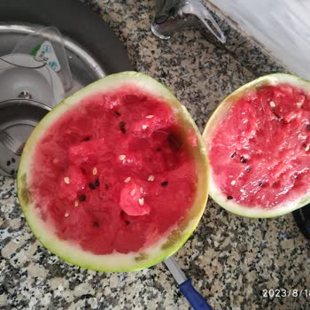 Getir Karpuzlar Çürük Çıktı