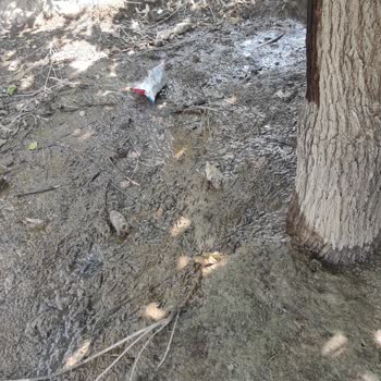 Adana Büyükşehir Belediyesi Yerden Su Çıkıyor. Yüzüncü Yıl Mahallesi